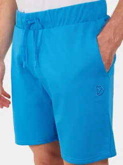 Discount Didriksons Fejan Shorts Sharp blue