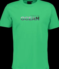 Clearance Didriksons Harald T-shirt Ocean Summer Green