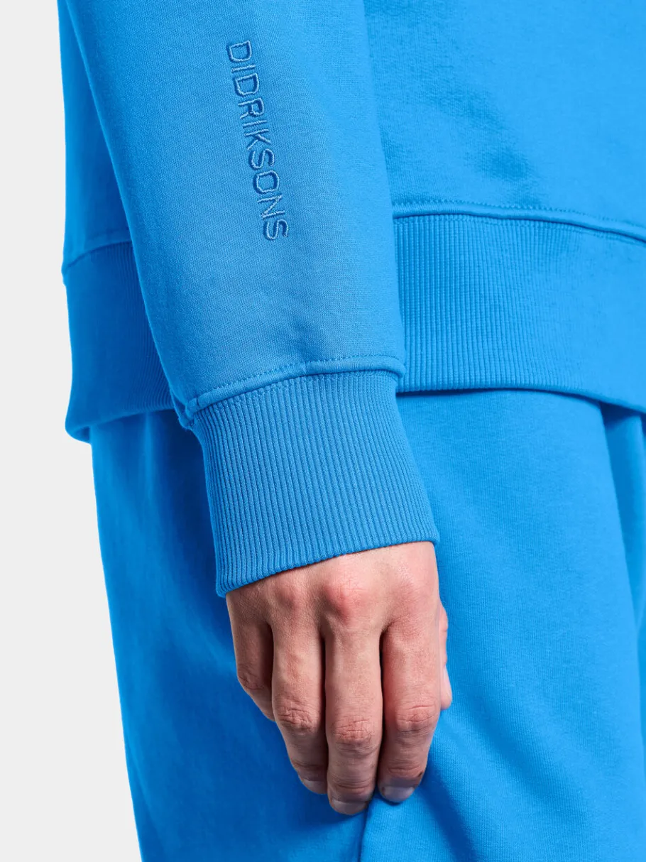Outlet Didriksons Heritage Men's Hoodie Sharp blue